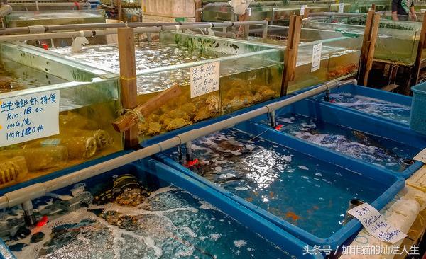 马来西亚亚庇到美人鱼岛,亚庇美人鱼岛游记