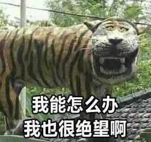 有这样一个大奖，是专门颁给死得最逗比的人的！