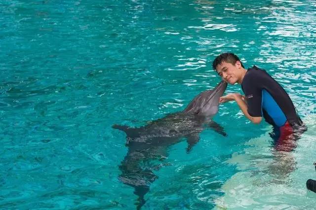 在德国被偷多少钱可报案,在德国偷东西