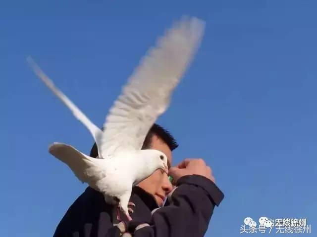 这个徐州人背着相机走遍全城13年他的镜头里一定留下你的记忆