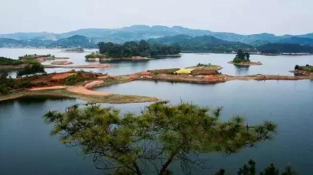 成都周边玫瑰景点推荐一下,成都玫瑰花海一日游