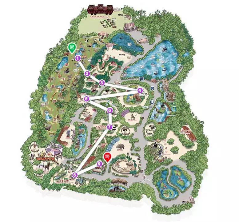 广州长隆野生动物园游玩路线攻略,广州番禺长隆野生动物园详细攻略