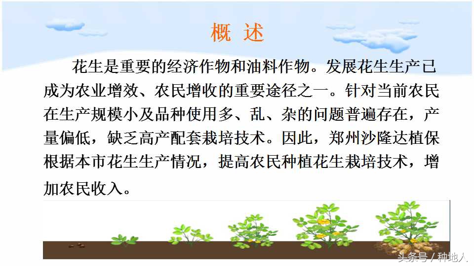 马上开始播种花生,快要种花生了