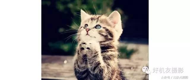 怎么解决逆光拍照脸部暗,相机拍照脸部太暗怎么处理