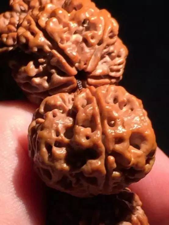 变形金刚假的冒牌货,金刚如何辨别品种和品相