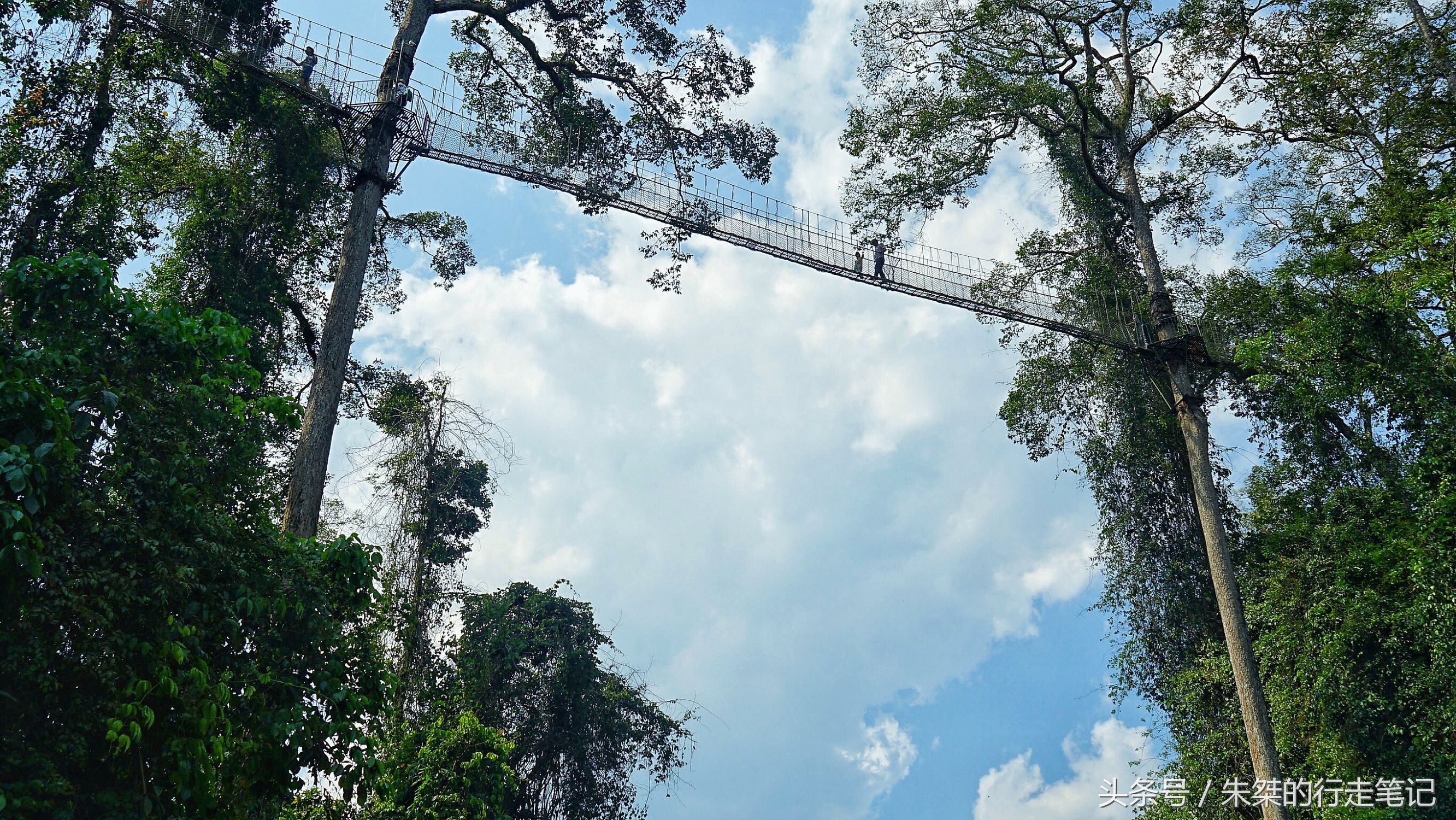 版纳颈椎治疗,西双版纳治疗颈椎好的按摩仪器