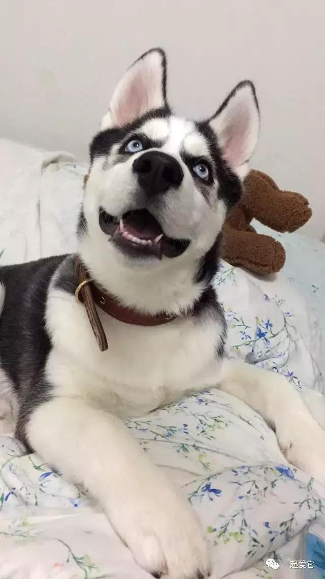 宠爱每一个故事,宠爱故事梗概