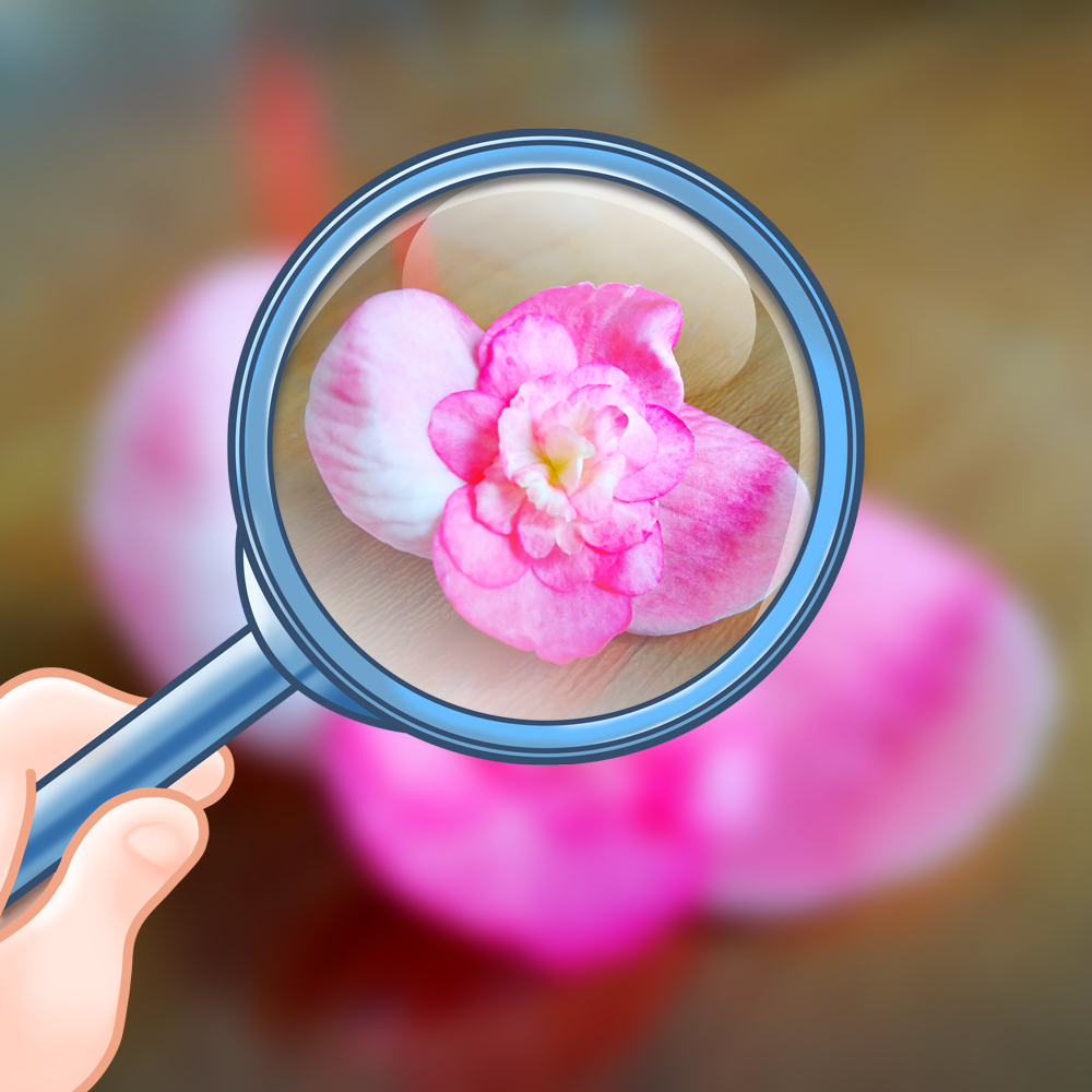 表示两面派的成语,关于两面派的成语