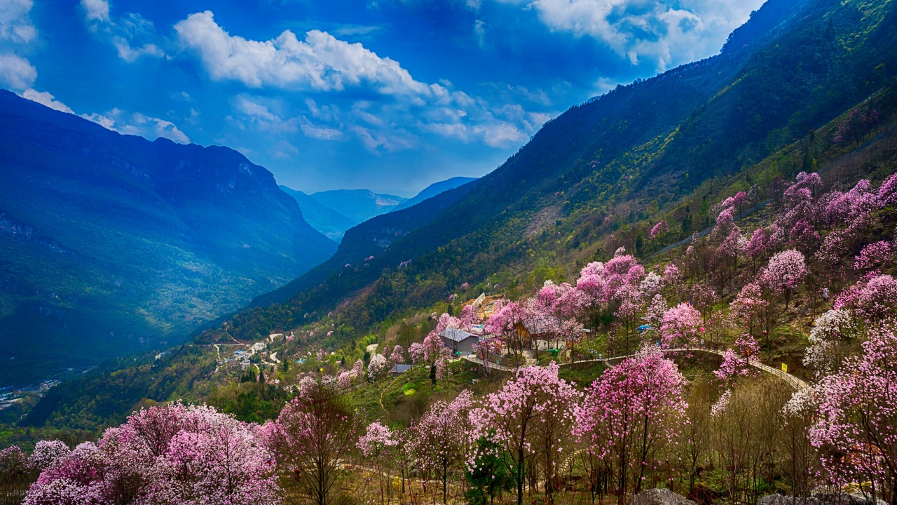 30分钟刷一次朋友圈,你多久刷一次朋友圈