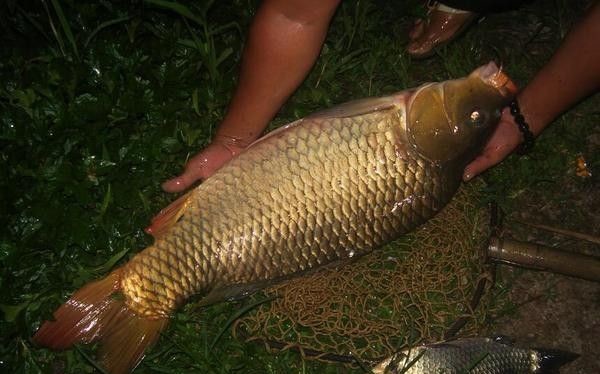 双内走线绑钩,简单易学,永不脱钩!