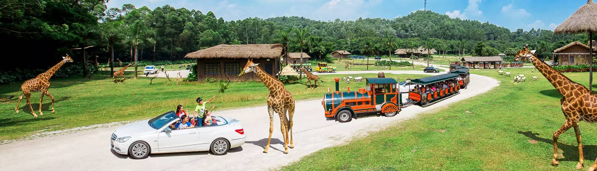 广州长隆野生动物园游玩路线攻略,广州番禺长隆野生动物园详细攻略