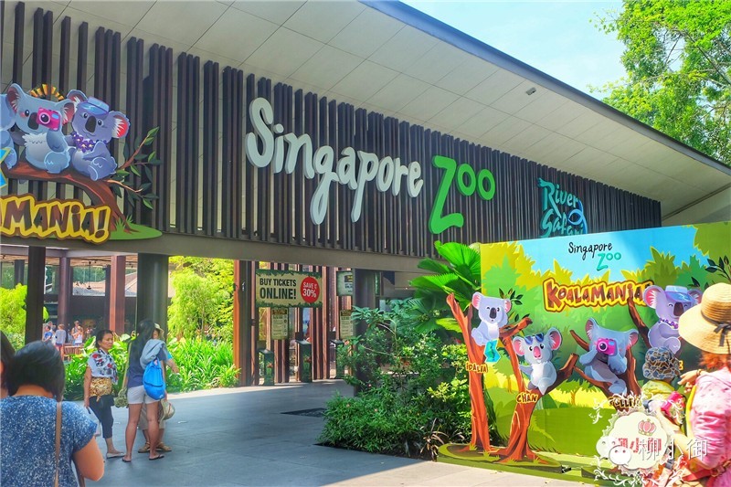 春节旅游新加坡,还能不能春节旅游去新加坡