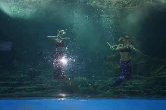 东湖海洋世界和海昌极地海洋公园,武汉东湖海洋世界和极地哪个好玩