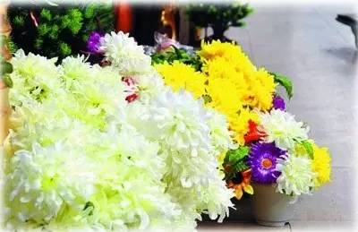 清明节气古诗词,今日清明时间