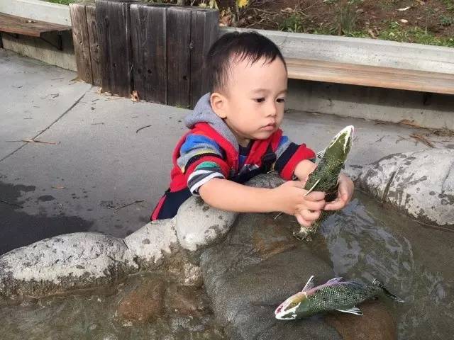 飞越太平洋,飞越太平洋体验