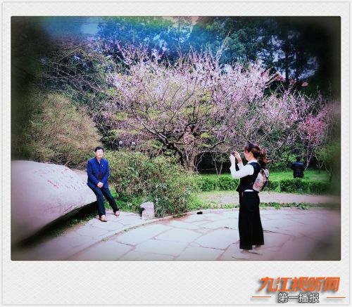 人间四月芳菲尽山寺桃花始盛开,人间四月芳山寺桃花始盛开