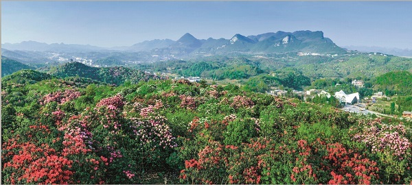 贵州省第十次党代会报告,当代贵州第17期