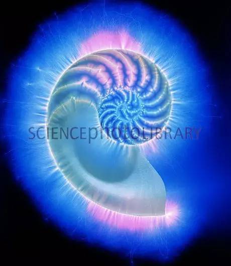 神秘光波的另类治疗法|克里安摄影术