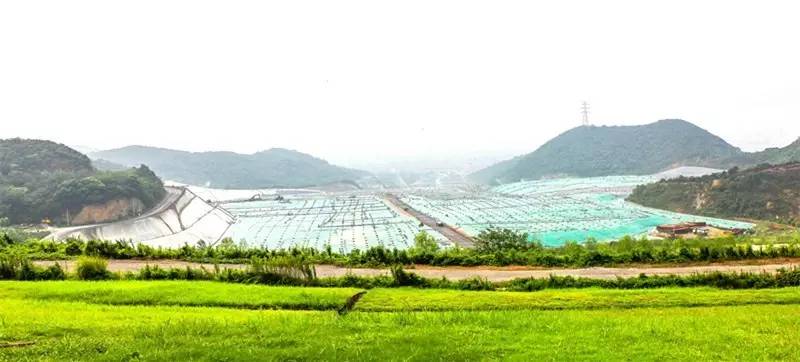 城北踏春“新宠”！全球最美的城市出口，8万平方米的天子岭生态公园！带ta来