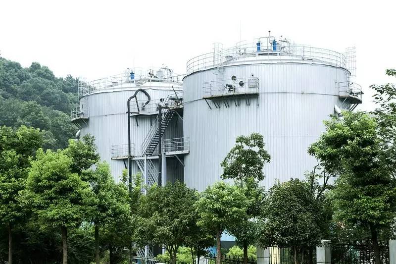 城北踏春“新宠”！全球最美的城市出口，8万平方米的天子岭生态公园！带ta来