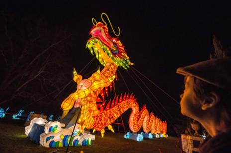 “歪果仁”为中国年操碎了心英国小伙伴抢不到红包,暴躁了!