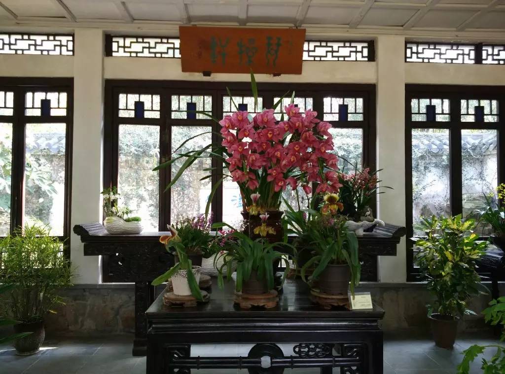 无锡春节文化,来看看我们无锡多美