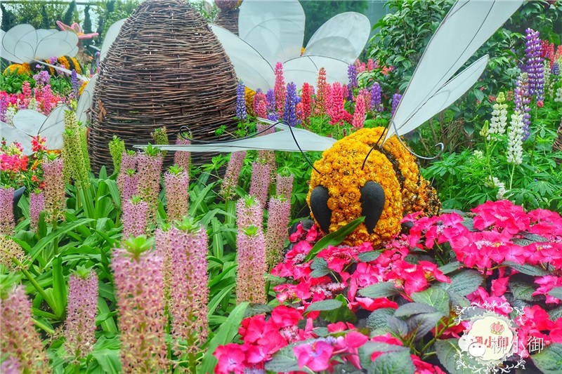 春节旅游新加坡,还能不能春节旅游去新加坡