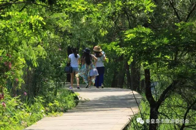 给所有秦皇岛人,这里有一份春天请你查收!