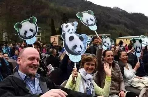 荷兰迎接中国大熊猫,大熊猫在国外有警车开道