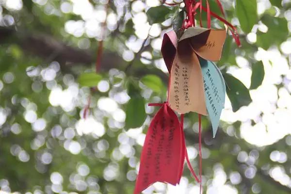 佛教许愿还愿时间,佛教许愿还愿是否有讲究