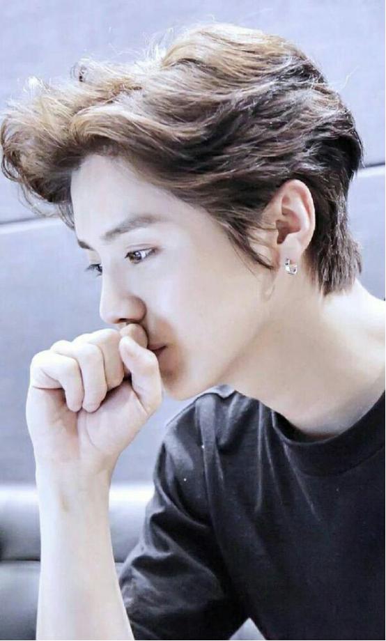 鹿晗小鲜肉,鹿晗不可思议的傻狍子