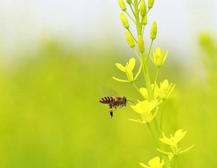 得了高血压这4个检查别忽略,40岁以上高血压需要检查吗