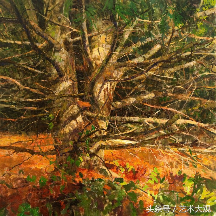 冉茂芹风景小油画写生视频,崔根男风景油画写生视频