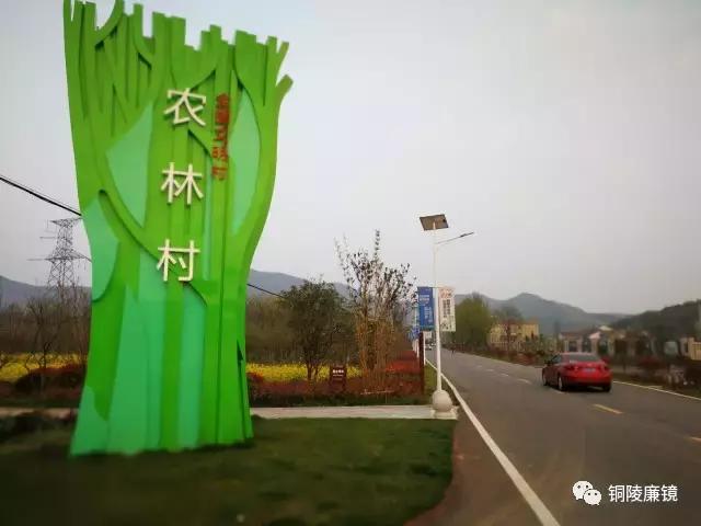 看完以后，你一定会怀疑之前观看铜陵这个村子的方式不对