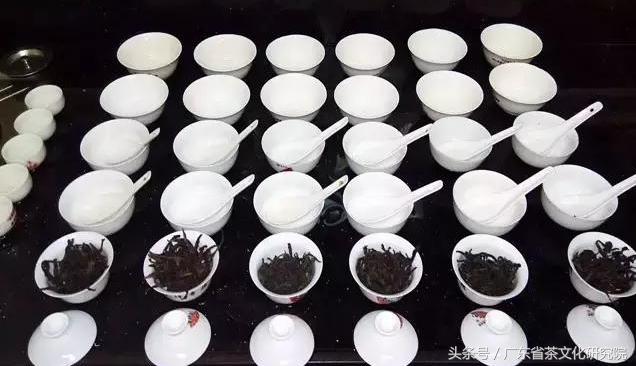 大红袍知识点全解,辽宁干货大红袍货源充足