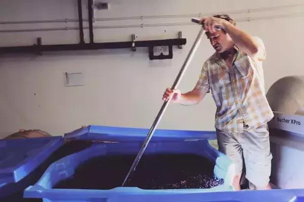 为什么选择去南非留学,为什么要去南非旅行