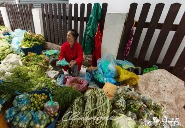 琅勃拉邦，菩提树下万人欢愉
