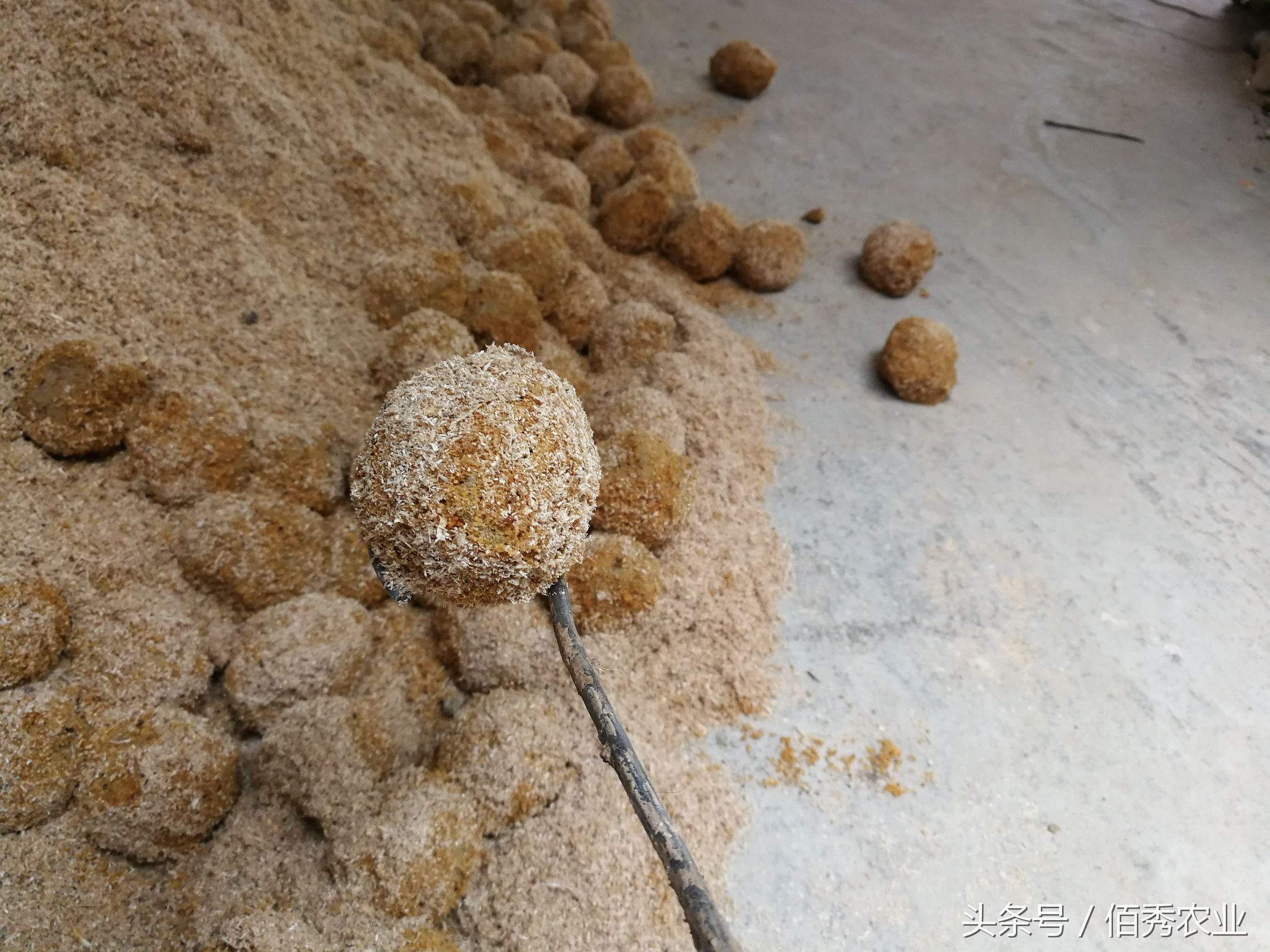 农民自制变蛋，一枚赚5分钱，你信吗？