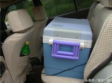 养猪怎样提高人工授精的成功率,养猪新模式猪舍建造