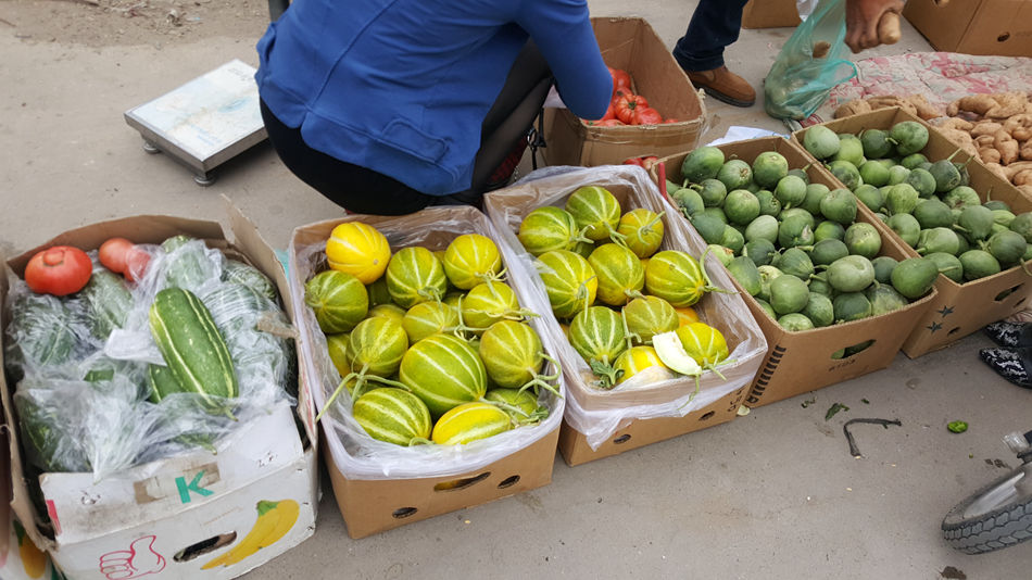 唐山市乐亭县大集,河北唐山乐亭大集