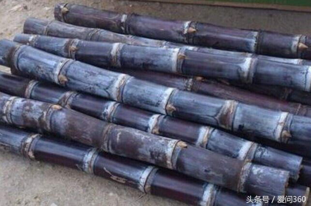 甘蔗加上这些东西一起吃,对气管炎、肺结核好!