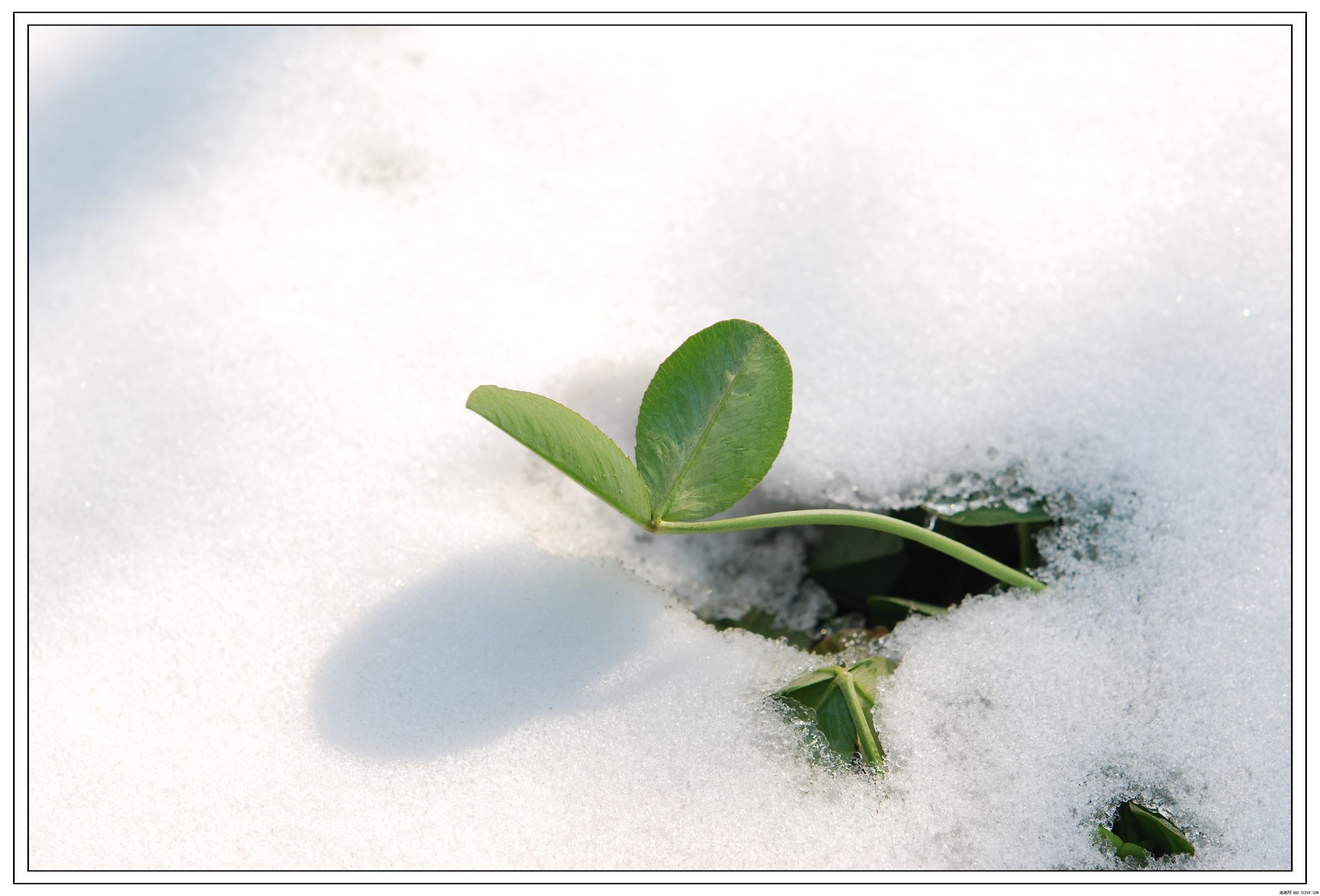 70岁老人抗肺癌自述,八旬老人抗击疫情感言