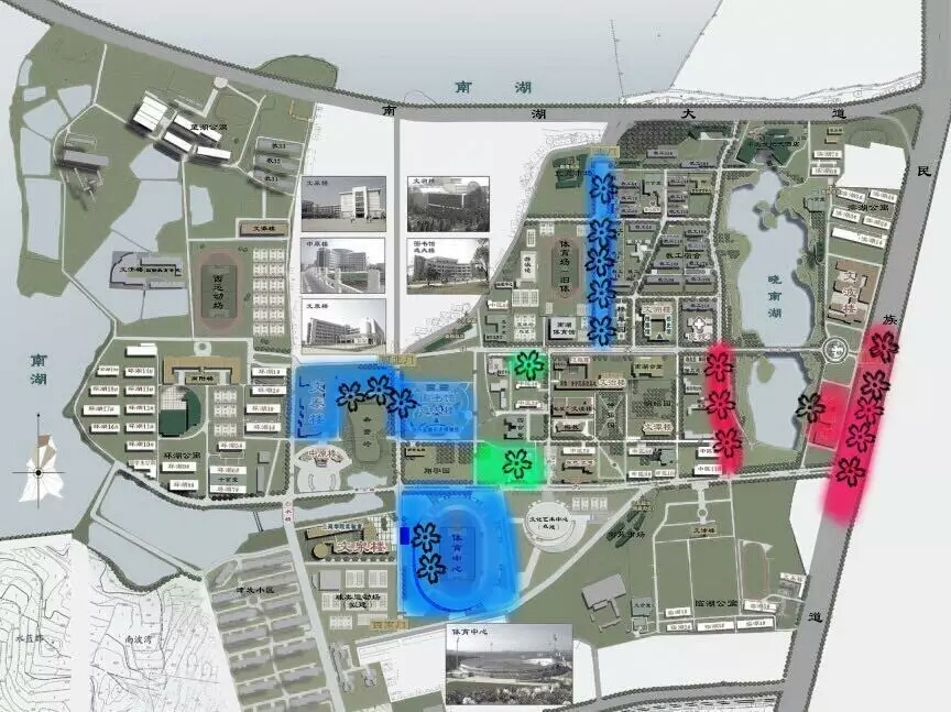 涓轰粈涔堝悇澶ч珮鏍￠兘绉嶇煶妤犺姳,澶у鍏充簬鐭虫鑺辩殑閲囪闂