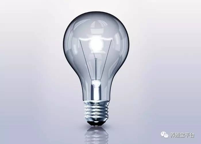 蛋鸡养殖led灯泡,led灯对鸡有影响