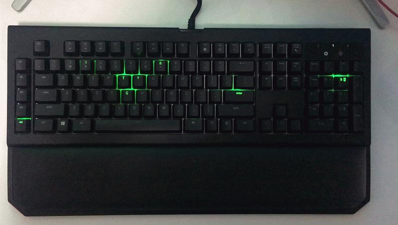 黑寡妇蜘蛛2019和幻彩版,黑寡妇蜘蛛幻彩版测评