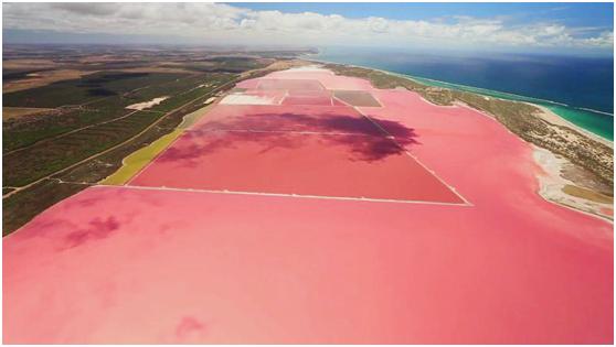 海量原料成本比别人高1-3倍，这家公司咋做生意的？