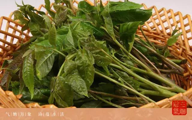 倾听谷雨朗读视频,倾听谷雨古诗朗诵