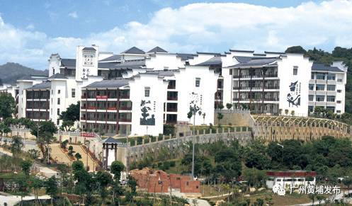 黄埔中学特长生招生,黄埔小升初招生计划