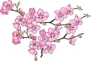 中国造口红,中国制造口红工厂流程