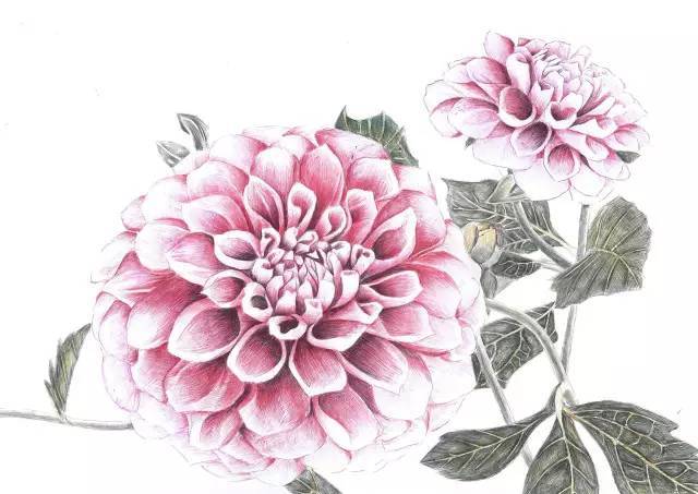 学生画的名画,学霸画名画